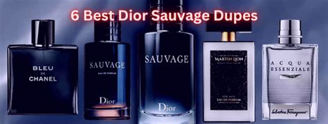 ÉCLAT 765 • Perfume Dupe • Sauvage Eau De Parfum.